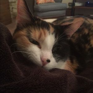 Meet your Posher, Beatrice